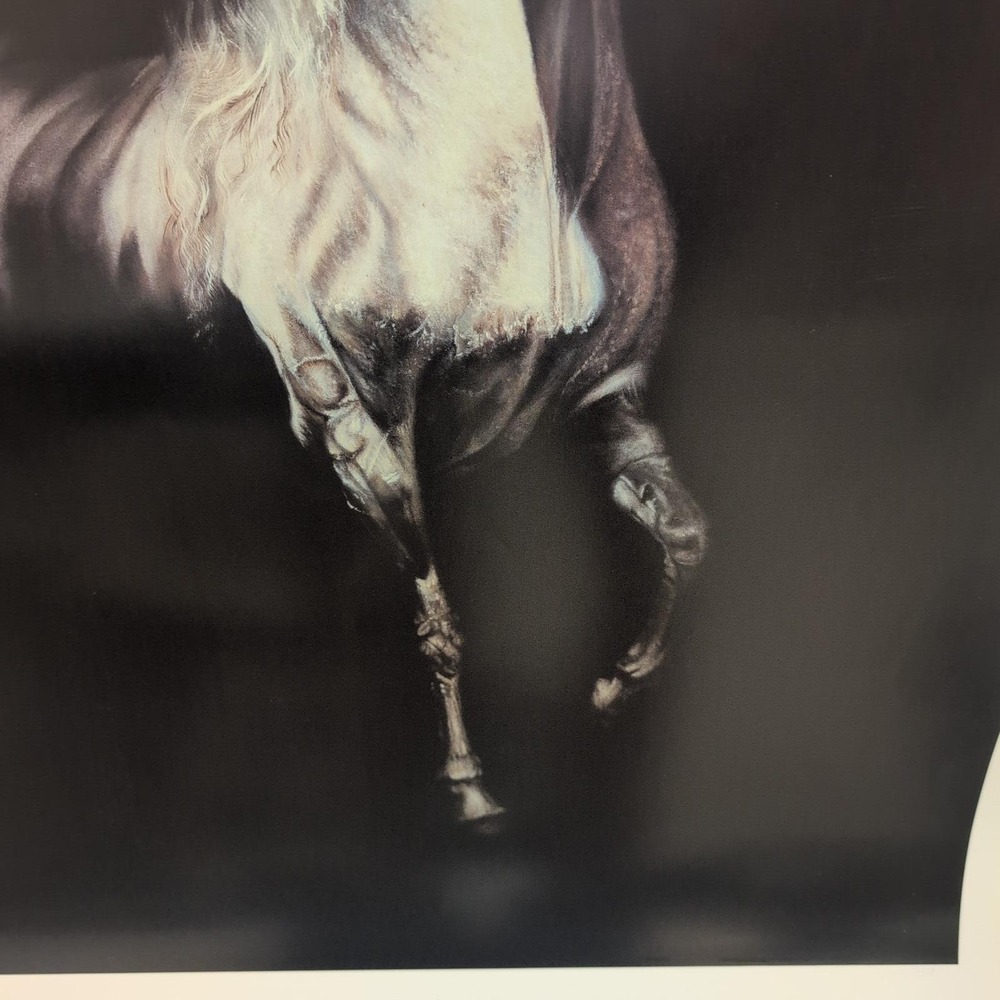 Sonia Torres Limited Edition, Numbered, Signed Arabian Left Horse Artist's Print - Picture 4 of 8